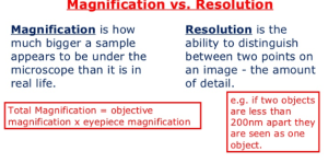 Difference between resolution and magnification