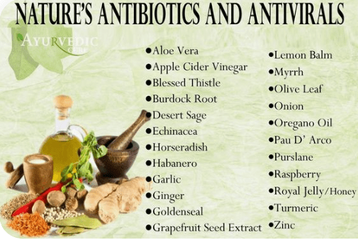Natural antivirals