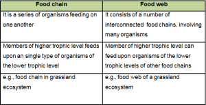 Difference between Food chain and food web