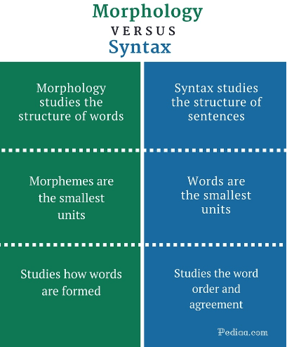 Difference between Morphology and Syntax