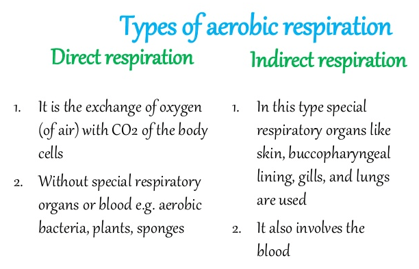 Differences between Direct and Indirect Breathing