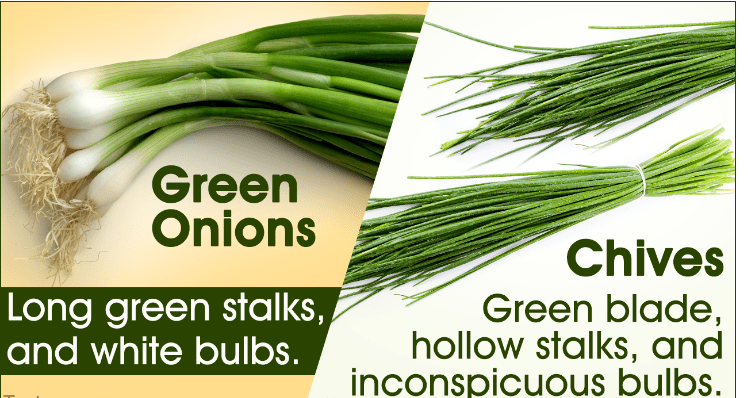 Differences between Leek and Chives