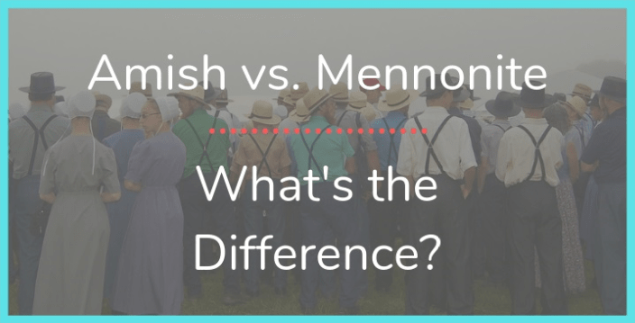 Differences between Mennonites and Amish