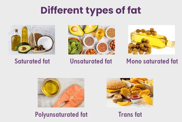 Different types of fats