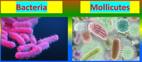 Difference between Pathogen and Parasite