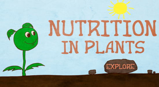 Facts about Nutrition in Plants