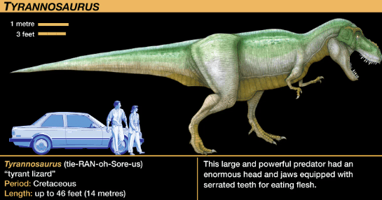 Facts about Tyrannosaurus