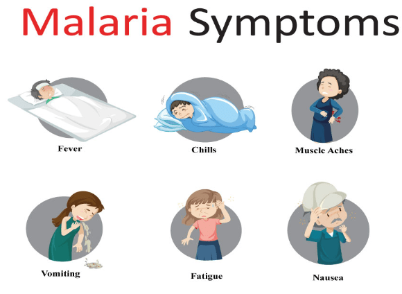 Malaria Symptoms